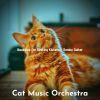 Download track Vibrant Ambience For Cats