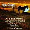 Download track Gracias Porque Volviste