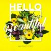 Download track Hello, Beautiful