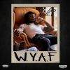 Download track W. Y. A. F