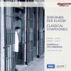 Download track Vanhal: Symphony In G Minor - III. Menuetto