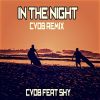 Download track In The Night (Cvdb Instrumental Remix)