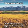 Download track Relaxation Music, Pt. 8