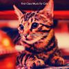 Download track Simplistic (Cute Kittens)