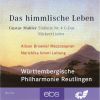 Download track Symphony No. 4: II. In Gemächlicher Bewegung - Ohne Hast