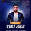 Download track Teri Akh