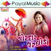 Download track Bhai Dholida Tu Maro Veer