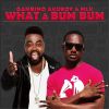 Download track What A Bum Bum