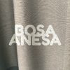 Download track Anesa