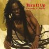 Download track Get Up And Dance