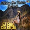 Download track El Rey De Oros