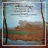 Download track Symphony Op. 71 In B Flat Major 1. Lebhaft (Vivace)