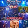 Download track Perro De Cadena (En Vivo)