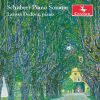 Download track Schubert Piano Sonata In D Major, Op. 53, D. 850 Gasteiner IV. Rondo. Allegro Moderato
