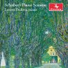 Download track Schubert Piano Sonata In A Minor, Op. Posth. 143, D. 784 Grande III. Allegro Vivace