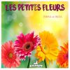 Download track Les Petites Fleurs