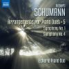 Download track Symphony No. 4 In D Minor, Op. 120 (Version For Piano 4-Hands): I. Ziemlich Langsam - Lebhaft