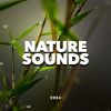 Download track Window To Nature