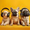 Download track Joyful Pets Sound