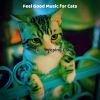 Download track Memories (Relaxing Cats)