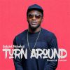 Download track Turn Around