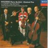 Download track (Quintet) III. Scherzo: Allegro