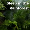 Download track Nap In The Rainforest