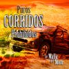 Download track El Corrido Del Caballo Profeta