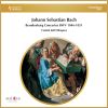 Download track Brandenburg Concerto No. 3 In G Major, BWV 1048: I. Allegro Moderato