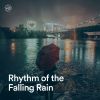 Download track Raindrops Instrumental