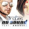 Download track No Sound (Radio Mix)