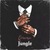 Download track Jungle