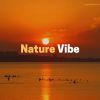 Download track 1 Hour Of Night Time Nature Sounds, Pt. 4