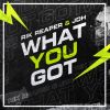 Download track What You Got (Extended Mix)