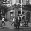 Download track Raining In New York