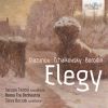 Download track Elegy For String Orchestra In Memory Of Ivan Samarin, TH 51