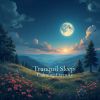 Download track Tranquil Sleep