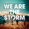 Download track We Are The Storm