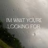 Download track I'm What You're Looking For