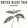 Download track Outside Woman Blues