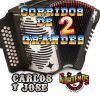 Download track Los Caballos Panzones