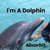 Download track I'm A Dolphin