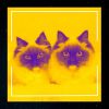 Download track Bubbly Ambience For Home Cats