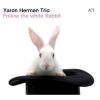 Download track White Rabbit Robot