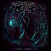 Download track Cerebral Permutation