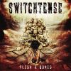 Download track Flesh & Bones