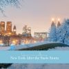 Download track New York After The Snow Storm, Pt. 14