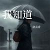 Download track 再无归期