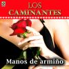 Download track Manos De Armiño