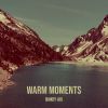 Download track Warm Moments